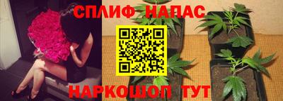 кокаин колумбия Ачхой-Мартан