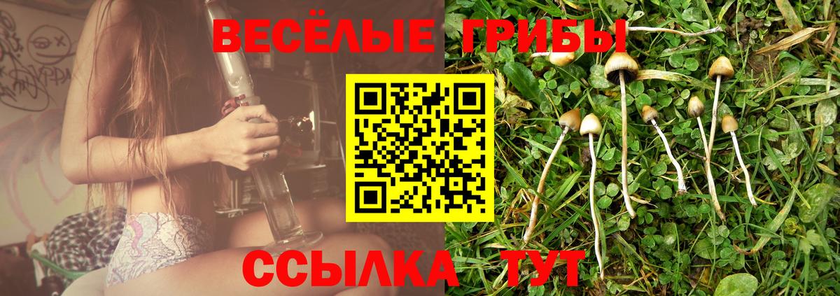 Галлюциногенные грибы прущие грибы  Вход с VPN  Галлюциногенные грибы мицелий  Горно-Алтайск 